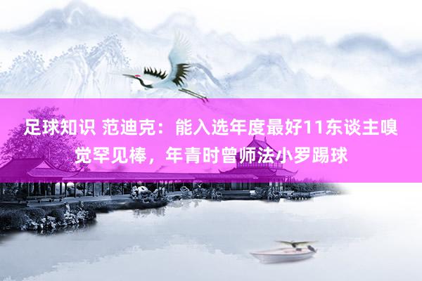 足球知识 范迪克：能入选年度最好11东谈主嗅觉罕见棒，年青时曾师法小罗踢球