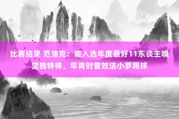 比赛结果 范迪克：能入选年度最好11东谈主嗅觉独特棒，年青时曾效法小罗踢球