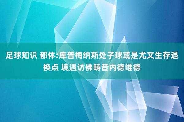 足球知识 都体:库普梅纳斯处子球或是尤文生存退换点 境遇访佛畴昔内德维德