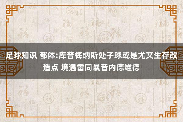 足球知识 都体:库普梅纳斯处子球或是尤文生存改造点 境遇雷同曩昔内德维德