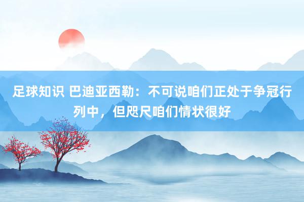 足球知识 巴迪亚西勒：不可说咱们正处于争冠行列中，但咫尺咱们情状很好