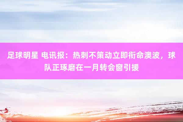 足球明星 电讯报：热刺不策动立即衔命澳波，球队正琢磨在一月转会窗引援