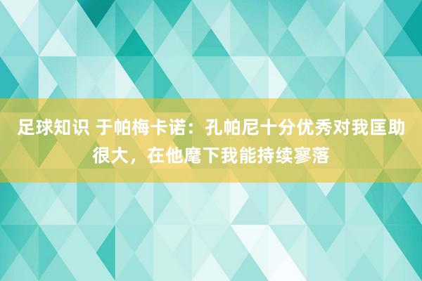 足球知识 于帕梅卡诺：孔帕尼十分优秀对我匡助很大，在他麾下我能持续寥落