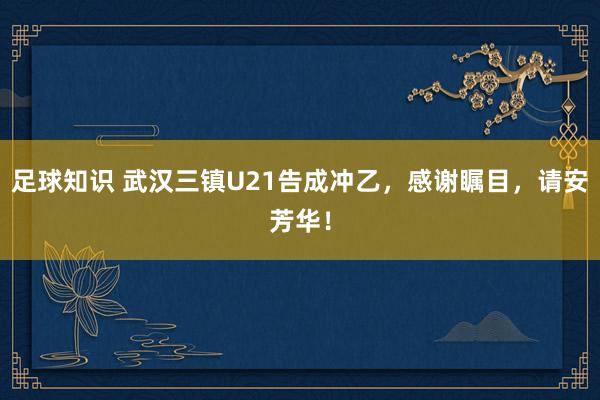 足球知识 武汉三镇U21告成冲乙，感谢瞩目，请安芳华！