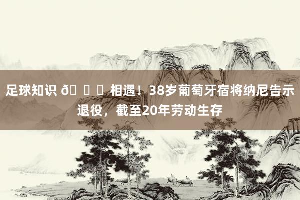 足球知识 👋相遇！38岁葡萄牙宿将纳尼告示退役，截至20年劳动生存