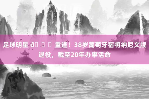 足球明星 👋重逢！38岁葡萄牙宿将纳尼文牍退役，截至20年办事活命