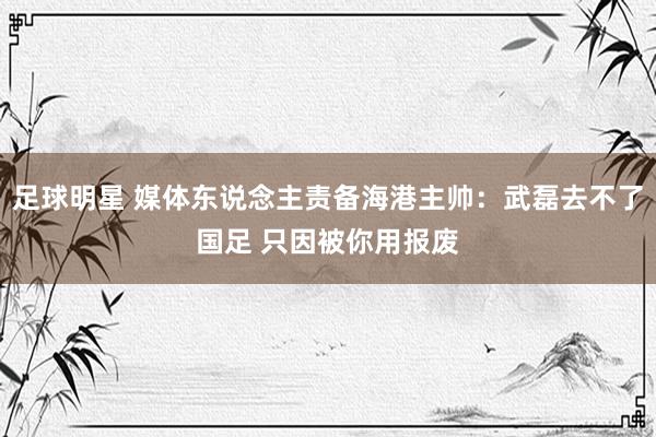 足球明星 媒体东说念主责备海港主帅：武磊去不了国足 只因被你用报废